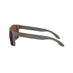 Slnečné okuliare Oakley Holbrook OO9102-J8 - polarizačné