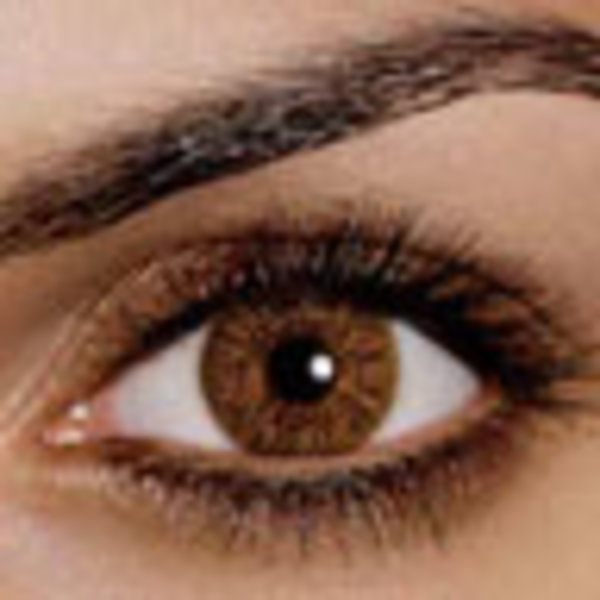 FreshLook One-Day Color - Pure Hazel (10 šošoviek) - dioptrické