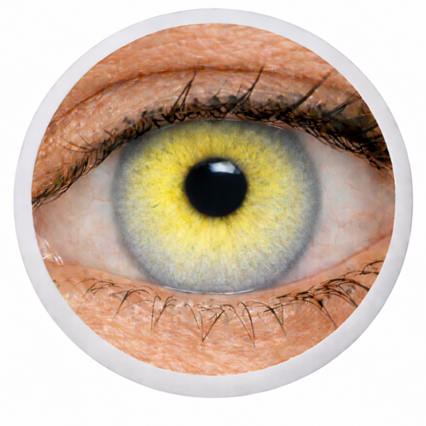 Phantasee Nulook - Ice Mint (2 šošovky mesačné) - nedioptrické