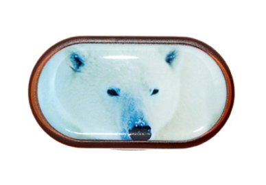 Púzdro so zrkadielkom Divoká zvieratá - Ľadový Medveď