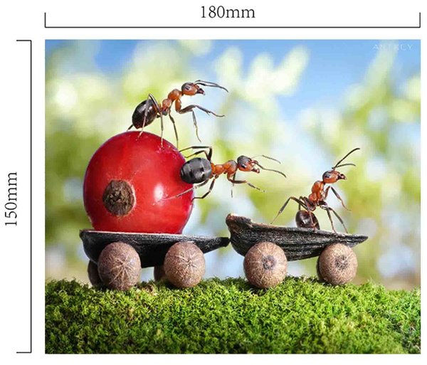 Handričku na okuliare z mikrovlákna - mravec